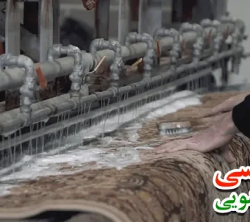 بهترین قالیشویی در هفت حوض دارای 6000 مشتری ثابت از نقاط مختلف تهران است که این موضوع نشان دهنده سلامت کاری و ارائه خدمات مختلف می‌باشد.