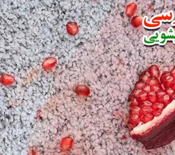 پاک کردن لکه میوه از روی فرش